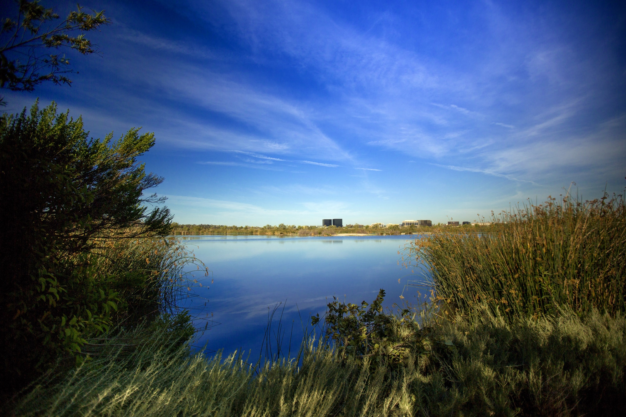 Hike Irvine: Top 10 Trails Hike Irvine: Top 10 Trails