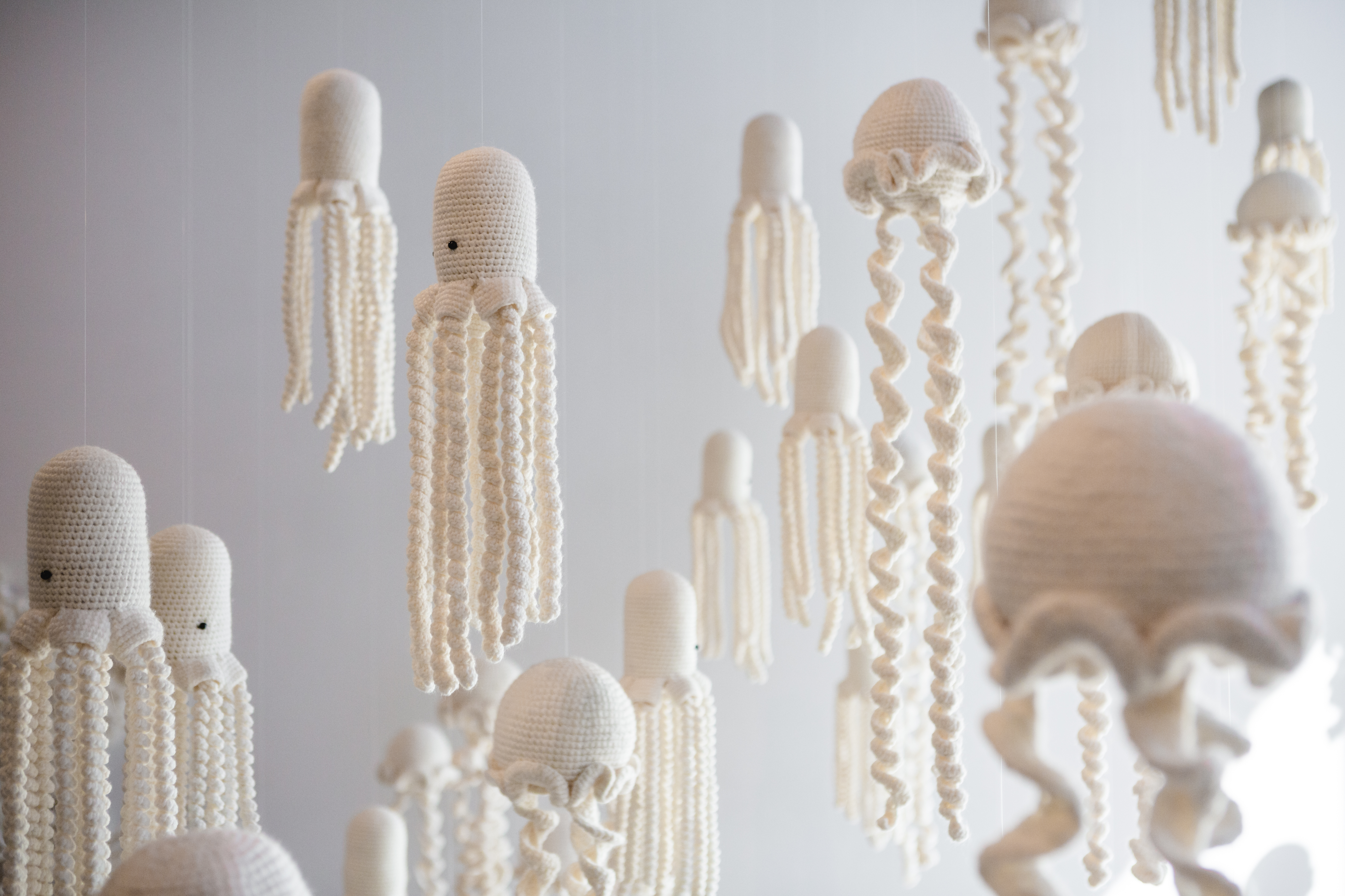 Natural Response: OCMAEXPAND Opens 6 New Shows by Contemporary Pacific Rim Artists Natural Response: OCMAEXPAND Opens 6 New Shows by Contemporary Pacific Rim Artists