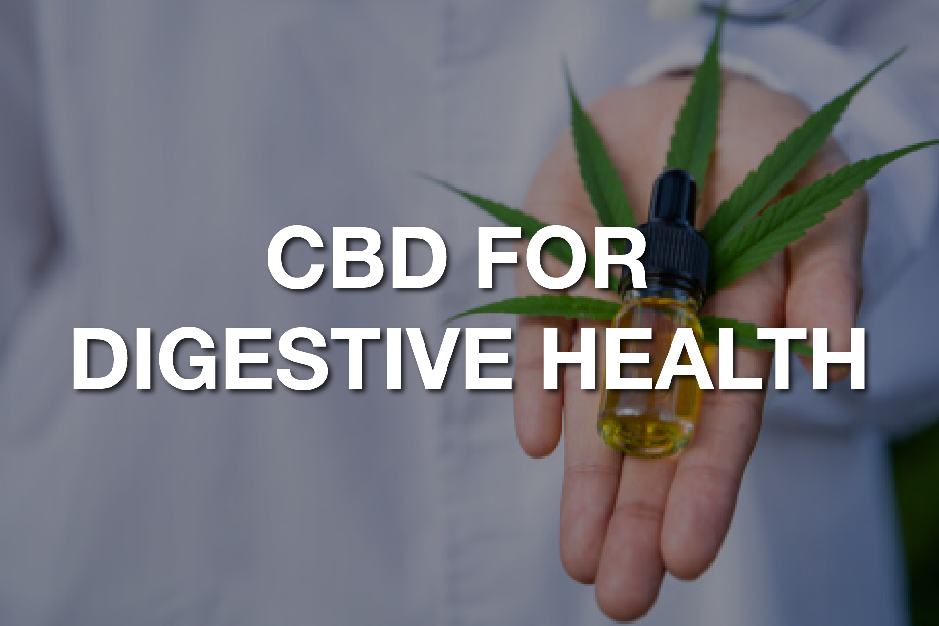 Use CBD For Treating Digestive Problems - Irvine Weekly