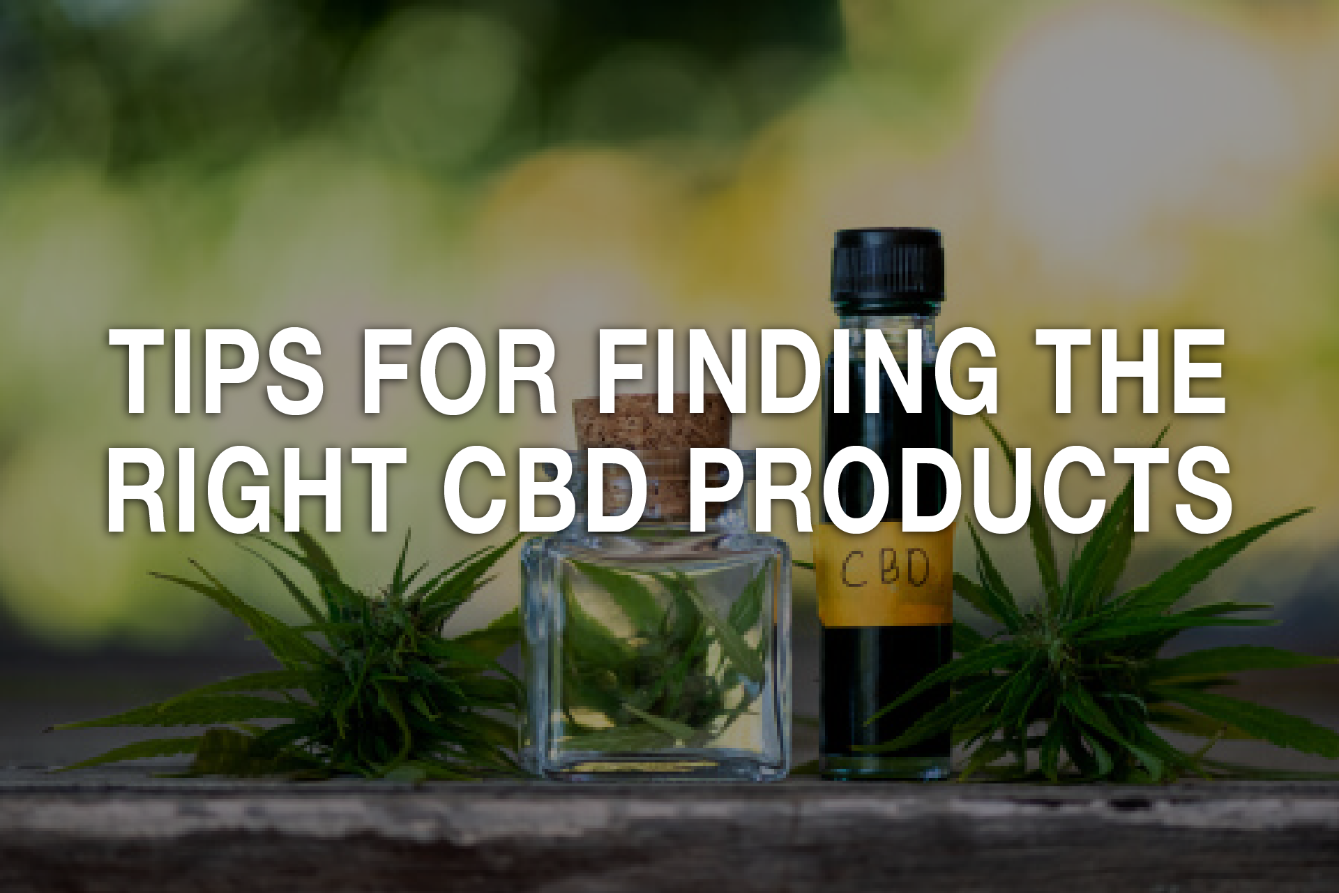 Tips To Find The Right CBD Product For You - Irvine Weekly
