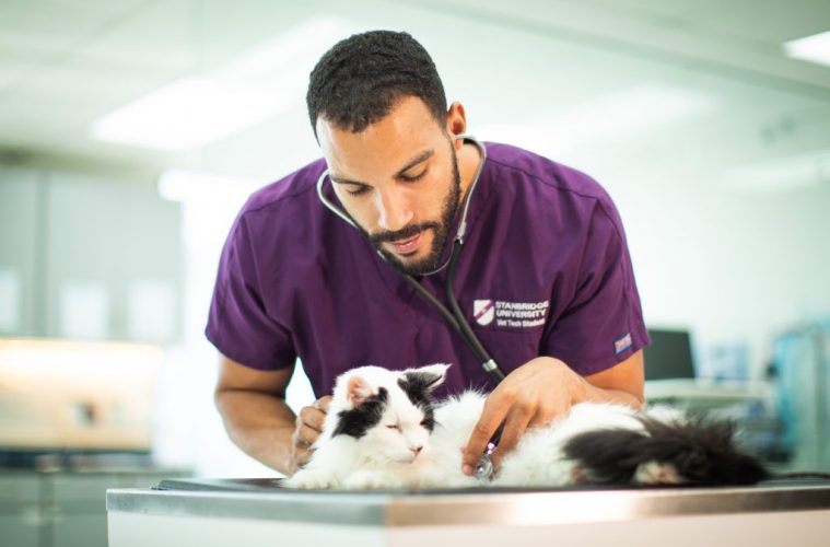 veterinary-technician-national-vet-tech-week-ovrs