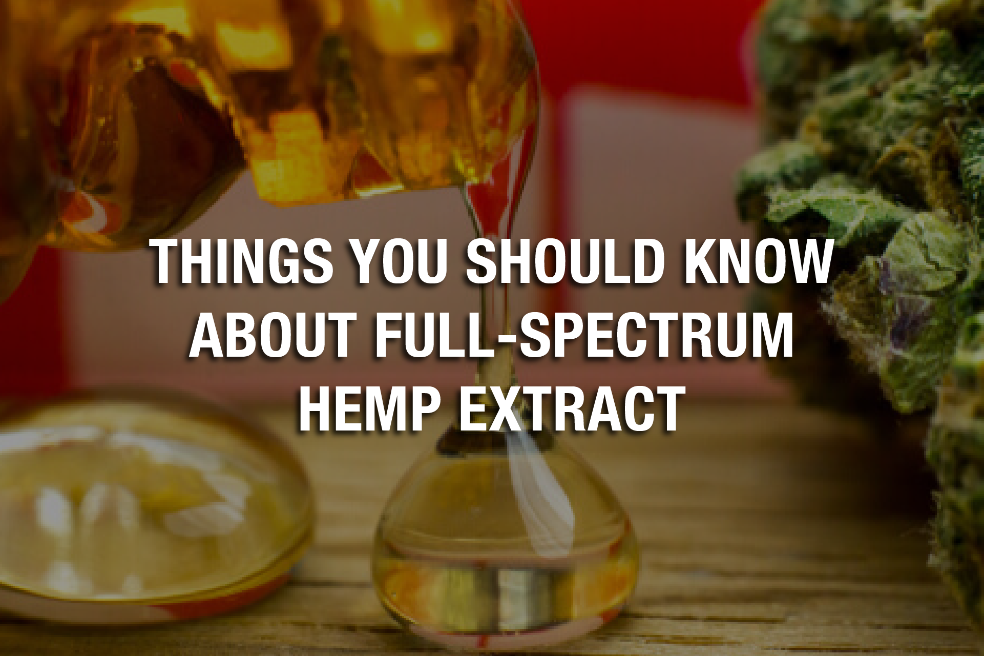 Things You Should Know About Full-Spectrum Hemp Extract - Irvine Weekly