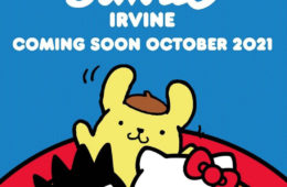 Sanrio Irvine