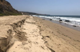 NASA Shoreline